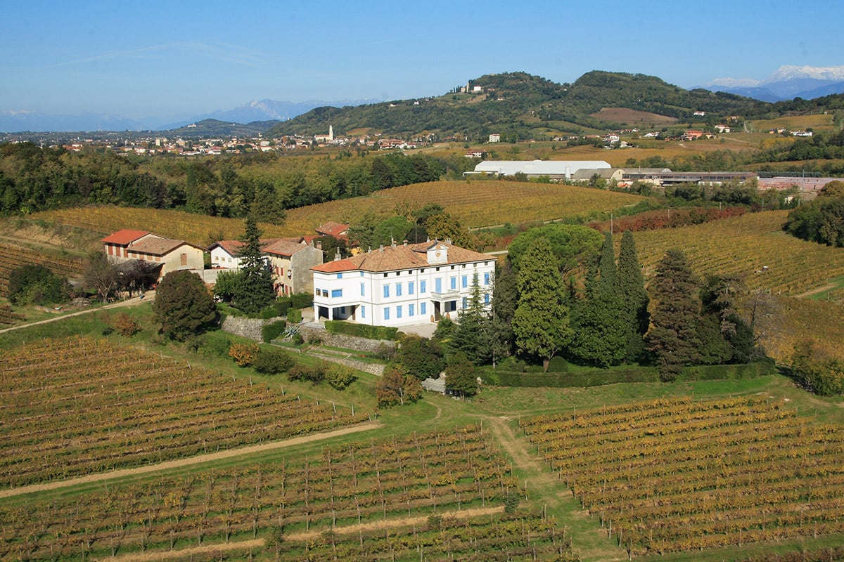 Azienda-Agricola-Vinicola