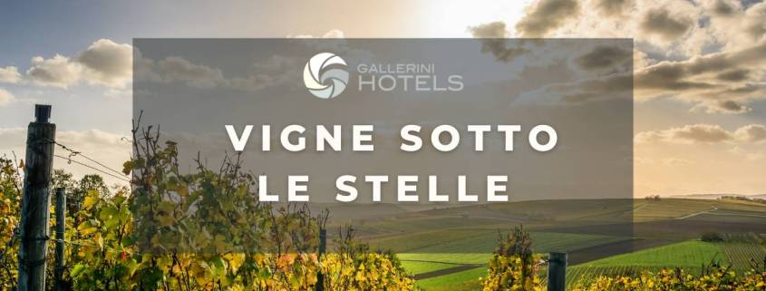 Degusta il territorio: Vigne sotto le stelle