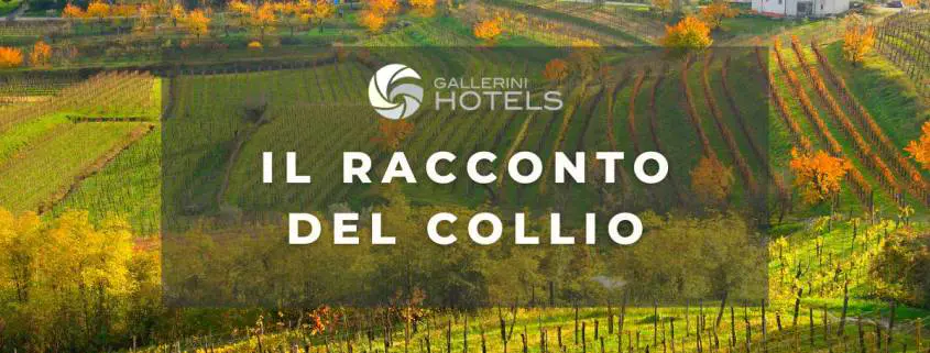 𝗜𝗟 𝗥𝗔𝗖𝗖𝗢𝗡𝗧𝗢 𝗗𝗘𝗟 𝗖𝗢𝗟𝗟𝗜𝗢